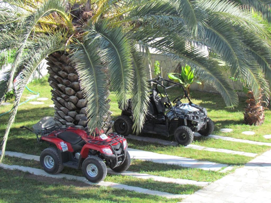 Dalyan Palmiye Resort Hotel Kültér fotó
