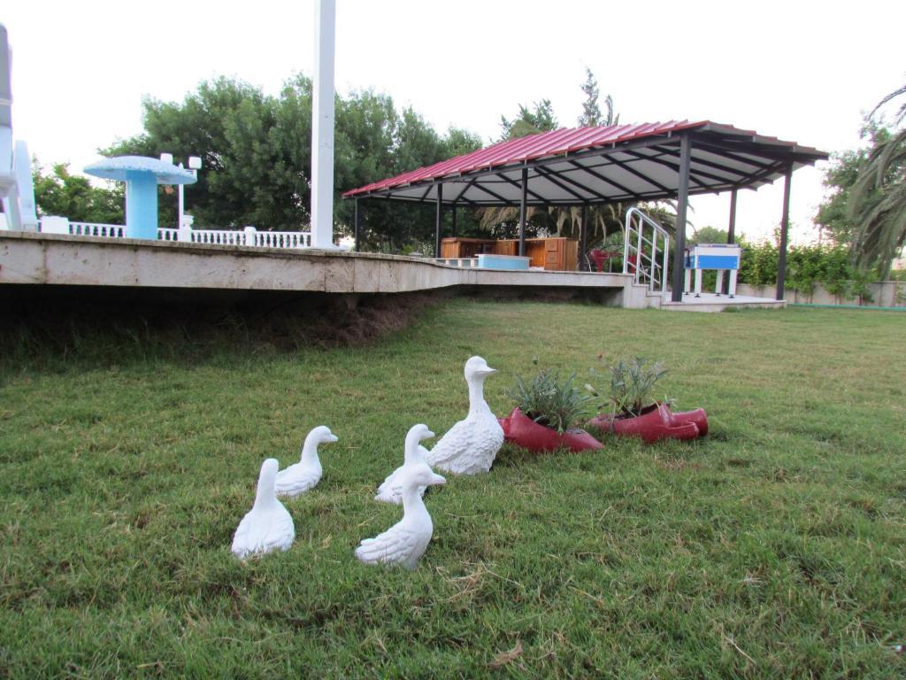 Dalyan Palmiye Resort Hotel Kültér fotó