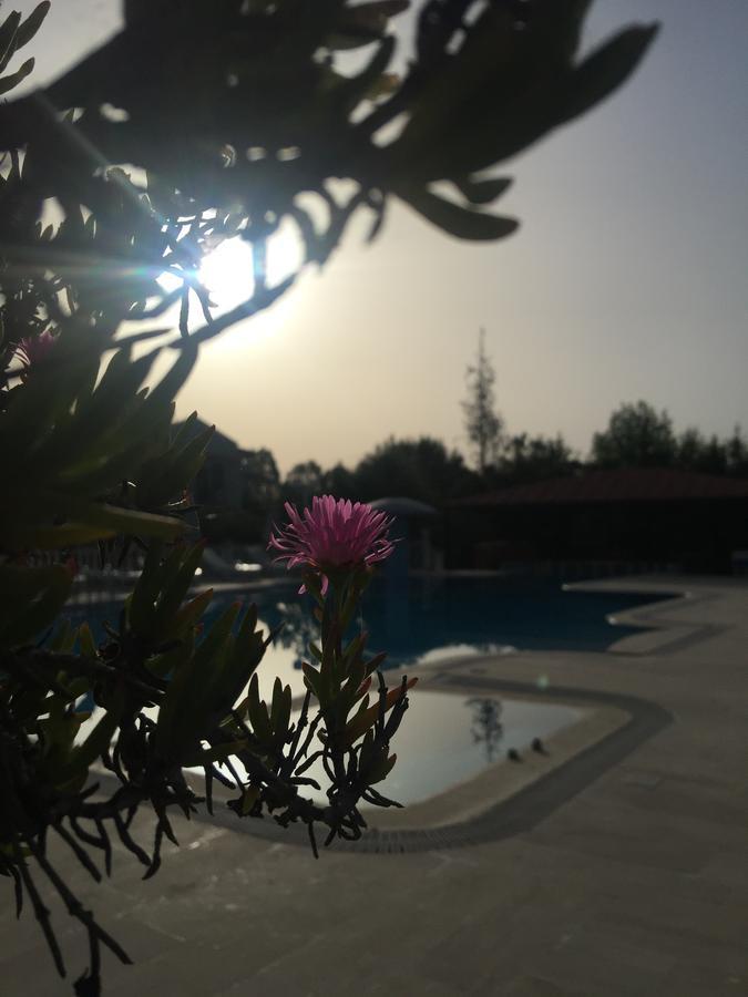 Dalyan Palmiye Resort Hotel Kültér fotó