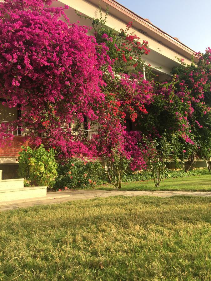 Dalyan Palmiye Resort Hotel Kültér fotó